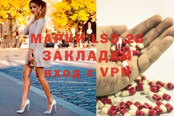 крисы Беломорск