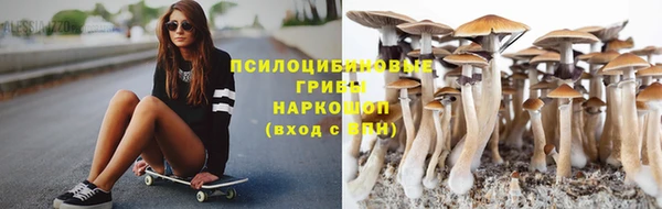 крисы Беломорск