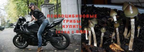 стаф Белоозёрский