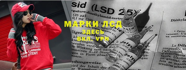 стаф Белоозёрский
