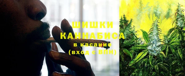 бошки Белокуриха