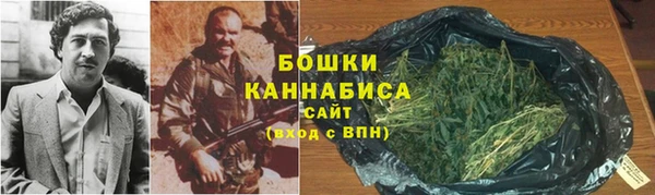 бошки Белокуриха