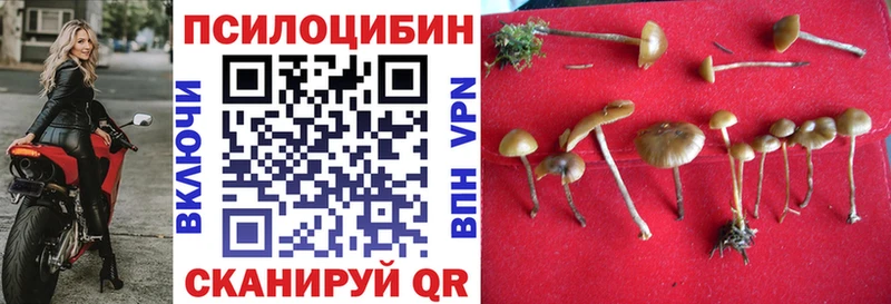 mega ONION  Кемь  Псилоцибиновые грибы прущие грибы 